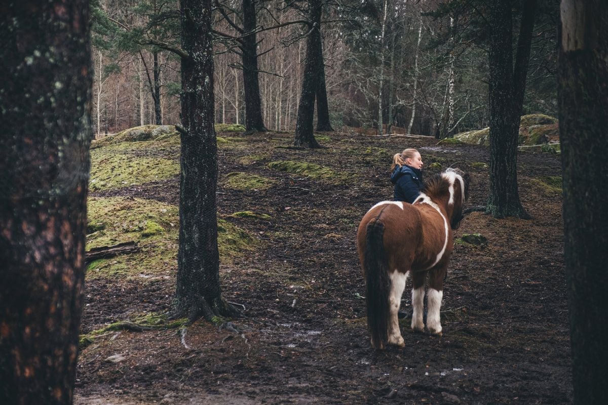 En kvinna och en häst i skogen.